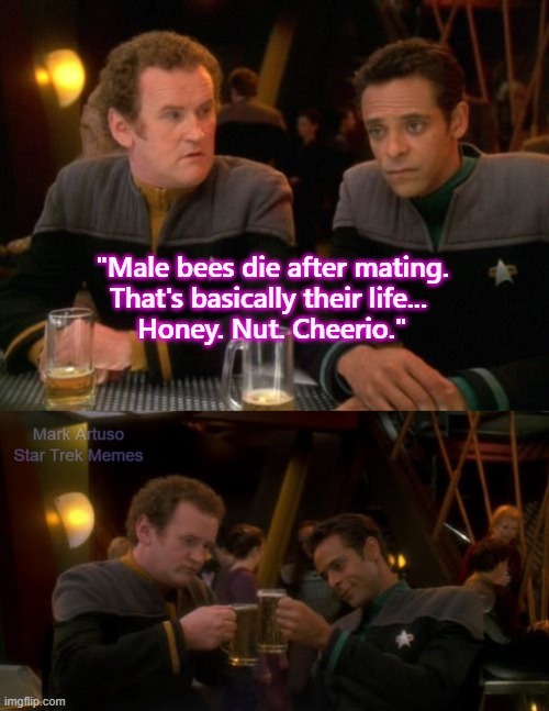 O'Brian and Bashir in Quark's having a drink