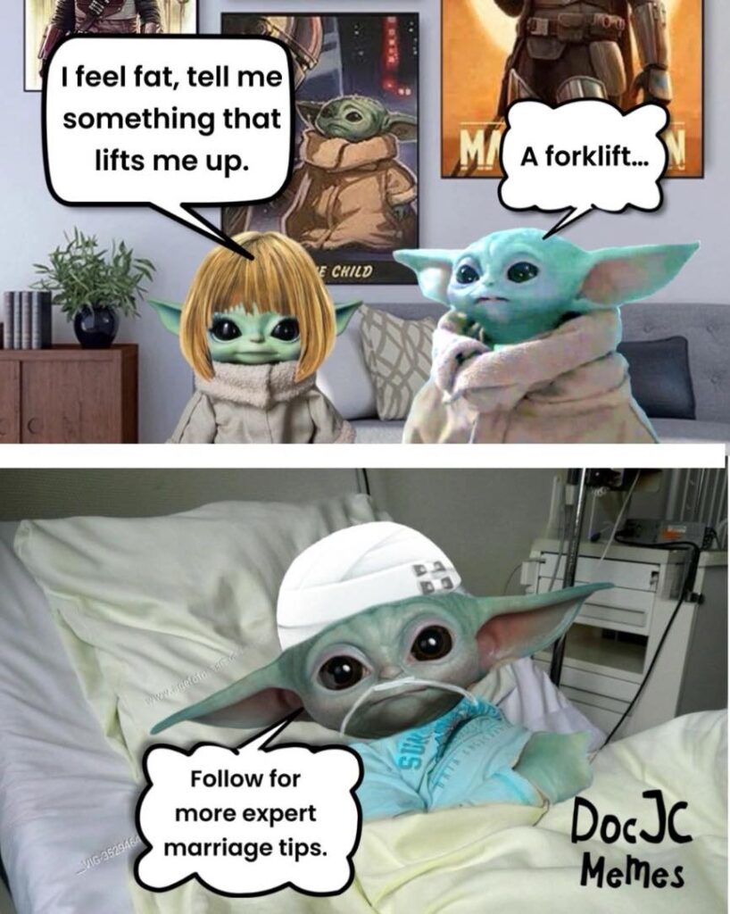 Grogu and his lady